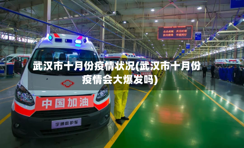 武汉市十月份疫情状况(武汉市十月份疫情会大爆发吗)-第1张图片