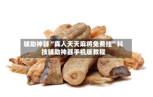 辅助神器“真人天天麻将免费挂”科技辅助神器手机版教程-第1张图片