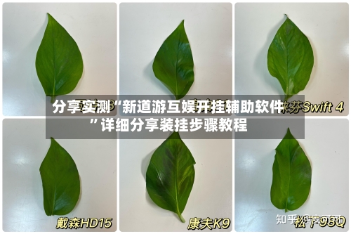 分享实测“新道游互娱开挂辅助软件”详细分享装挂步骤教程-第1张图片