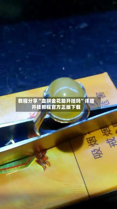 教程分享“血拼金花能开挂吗”详细开挂教程官方正版下载-第1张图片