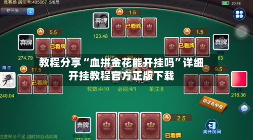 教程分享“血拼金花能开挂吗”详细开挂教程官方正版下载-第2张图片