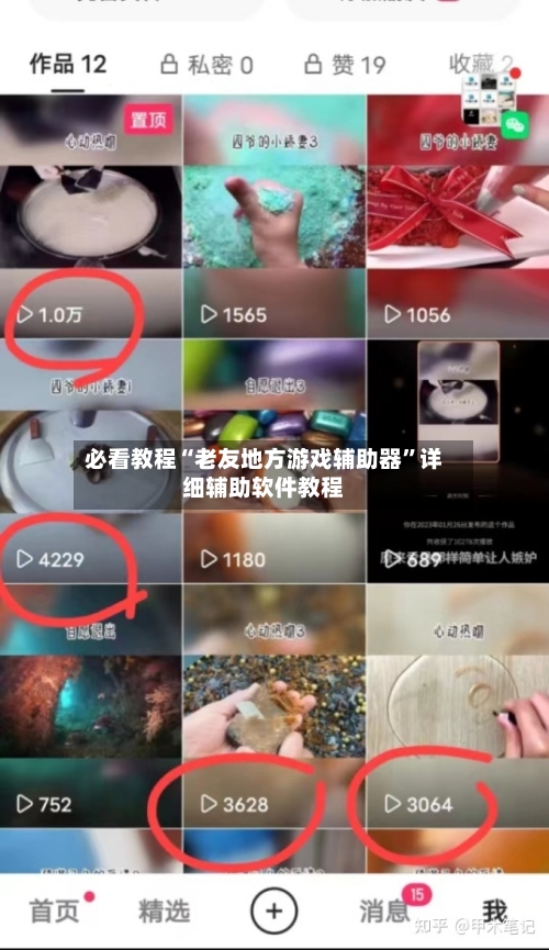 必看教程“老友地方游戏辅助器”详细辅助软件教程-第1张图片