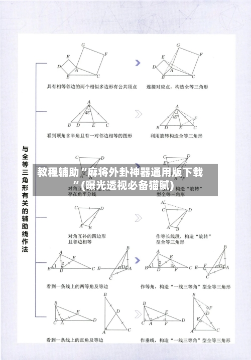 教程辅助“麻将外卦神器通用版下载”(曝光透视必备猫腻)-第1张图片
