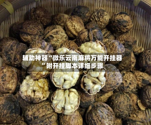辅助神器“微乐云南麻将万能开挂器”附开挂脚本详细步骤-第1张图片