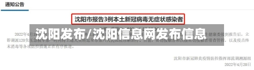 沈阳发布/沈阳信息网发布信息-第1张图片