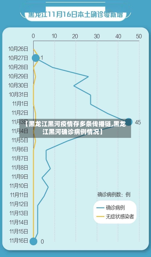【黑龙江黑河疫情存多条传播链,黑龙江黑河确诊病例情况】-第1张图片