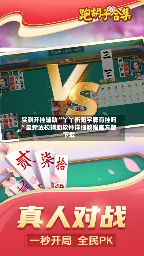 实测开挂辅助“丫丫衡阳字牌有挂吗	”最新透视辅助软件详细教程官方版下载-第3张图片