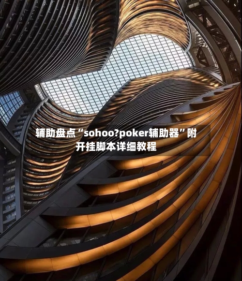 辅助盘点“sohoo?poker辅助器”附开挂脚本详细教程-第3张图片