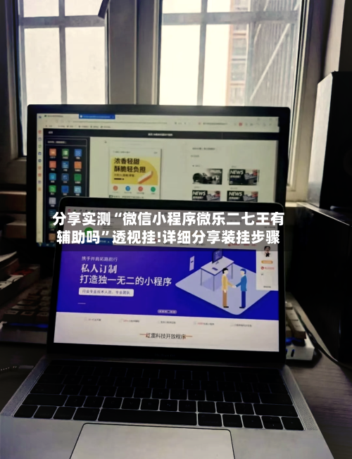 分享实测“微信小程序微乐二七王有辅助吗”透视挂!详细分享装挂步骤-第2张图片