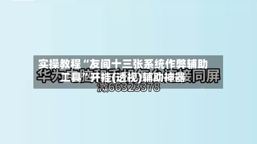 实操教程“友间十三张系统作弊辅助工具”开挂(透视)辅助神器-第1张图片