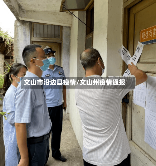 文山市沿边县疫情/文山州疫情通报-第1张图片