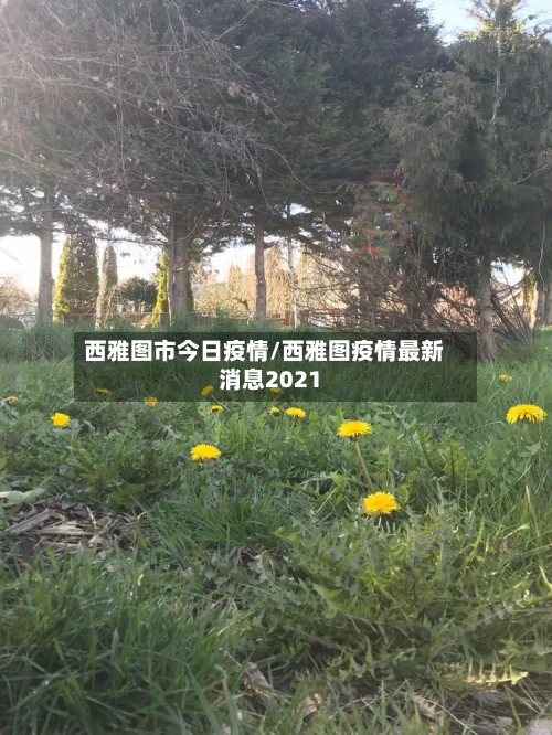 西雅图市今日疫情/西雅图疫情最新消息2021-第2张图片
