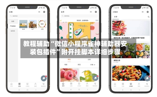 教程辅助“微信小程序雀神辅助器安装包插件	”附开挂脚本详细步骤-第2张图片
