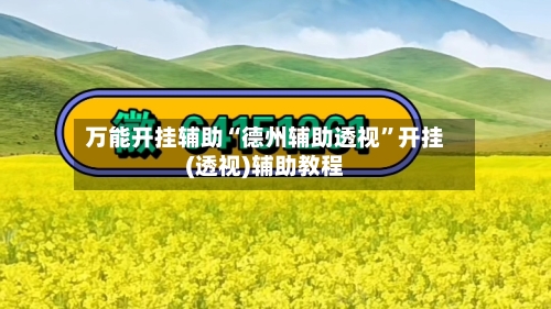 万能开挂辅助“德州辅助透视	”开挂(透视)辅助教程-第1张图片