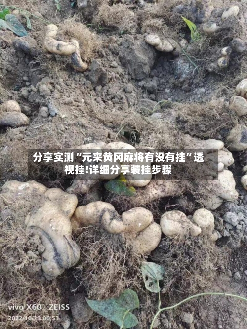 分享实测“元来黄冈麻将有没有挂”透视挂!详细分享装挂步骤-第1张图片