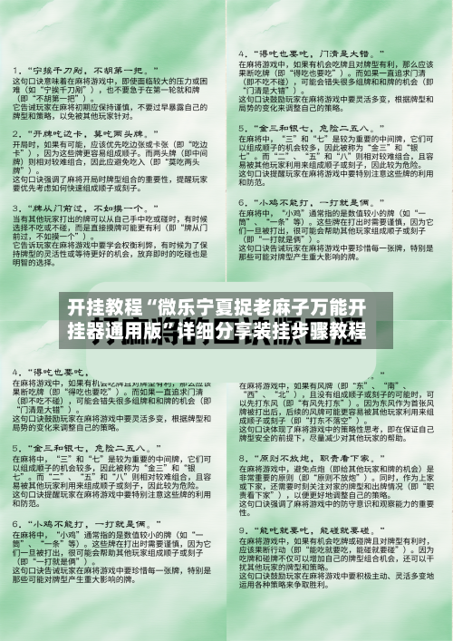 开挂教程“微乐宁夏捉老麻子万能开挂器通用版”详细分享装挂步骤教程-第3张图片