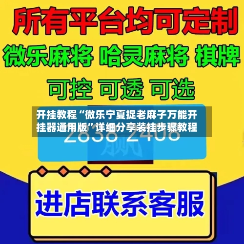 开挂教程“微乐宁夏捉老麻子万能开挂器通用版”详细分享装挂步骤教程-第1张图片