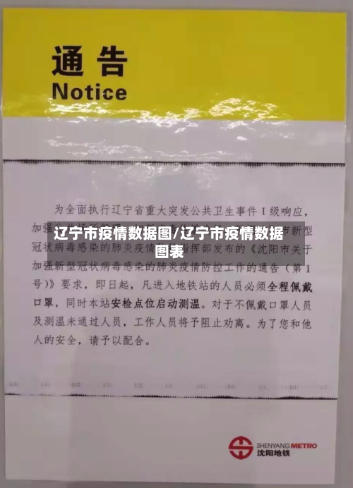 辽宁市疫情数据图/辽宁市疫情数据图表-第1张图片