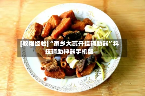 [教程经验]“家乡大贰开挂辅助器”科技辅助神器手机版-第3张图片