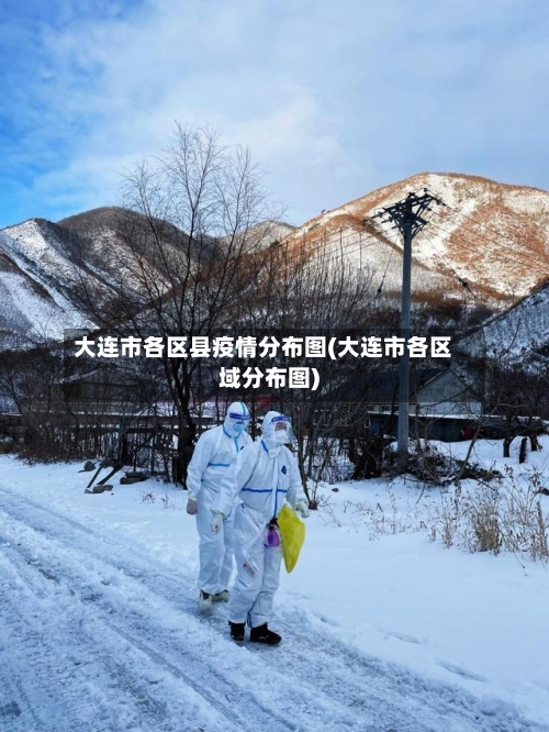 大连市各区县疫情分布图(大连市各区域分布图)-第1张图片