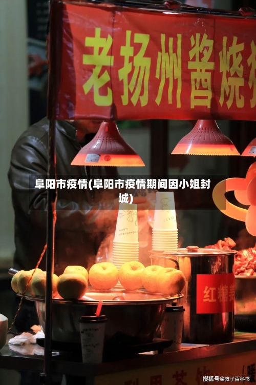 阜阳市疫情(阜阳市疫情期间因小姐封城)-第1张图片