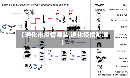 【通化市疫情源头,通化疫情溯源】-第2张图片