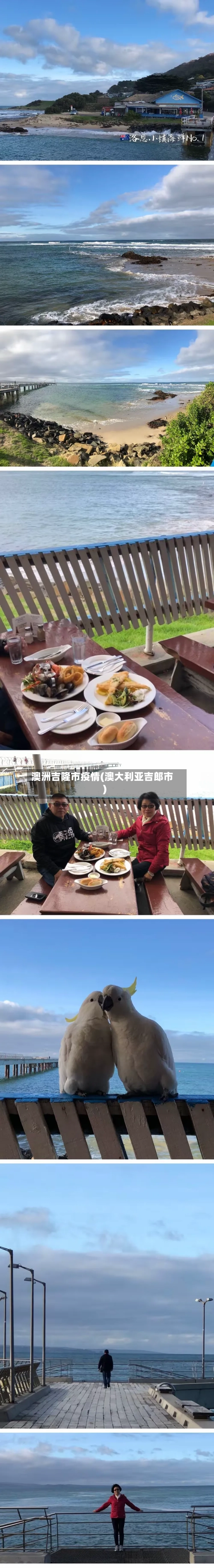 澳洲吉隆市疫情(澳大利亚吉郎市)-第1张图片