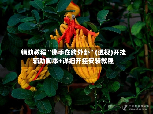 辅助教程“佛手在线外卦	”(透视)开挂辅助脚本+详细开挂安装教程-第1张图片