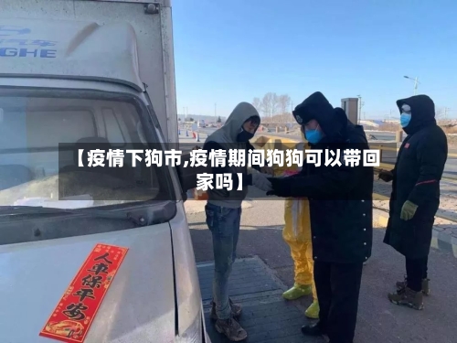 【疫情下狗市,疫情期间狗狗可以带回家吗】-第1张图片