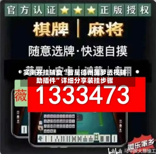 实测开挂辅助“智星德州菠萝透视辅助插件”详细分享装挂步骤-第3张图片