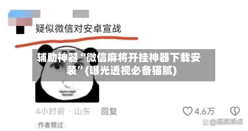 辅助神器“微信麻将开挂神器下载安装”(曝光透视必备猫腻)-第1张图片