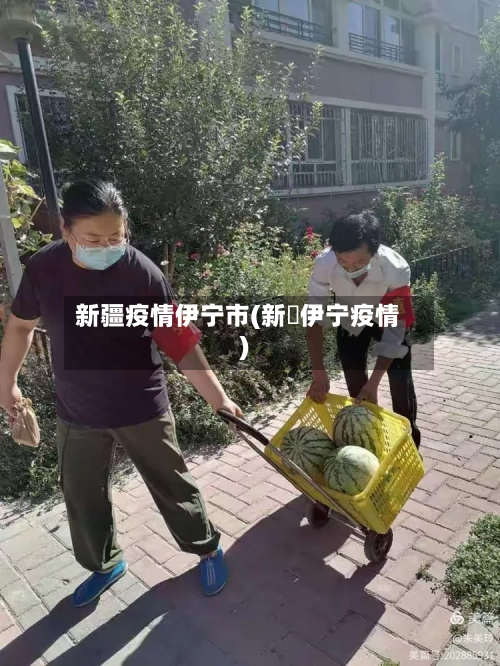 新疆疫情伊宁市(新彊伊宁疫情)-第2张图片