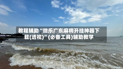 教程辅助“微乐广东麻将开挂神器下载(透视)	”(必备工具)辅助教学-第2张图片