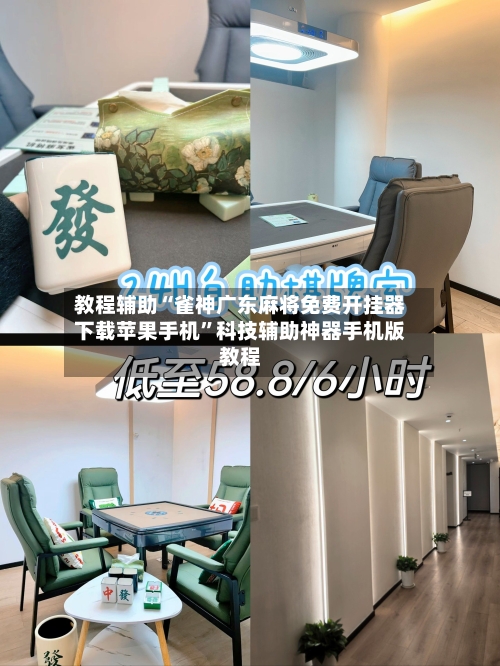 教程辅助“雀神广东麻将免费开挂器下载苹果手机	”科技辅助神器手机版教程-第2张图片