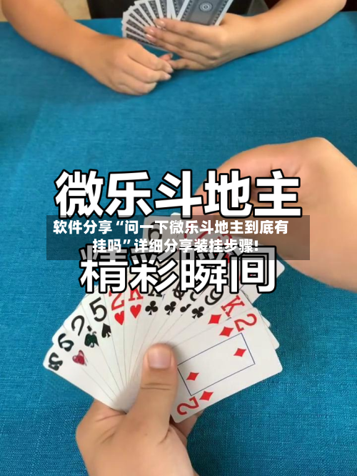 软件分享“问一下微乐斗地主到底有挂吗”详细分享装挂步骤!-第3张图片