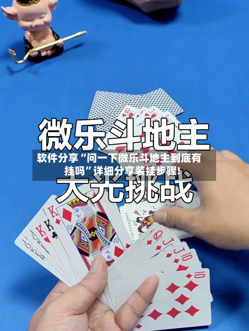 软件分享“问一下微乐斗地主到底有挂吗”详细分享装挂步骤!-第2张图片