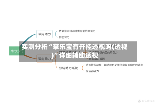 实测分析“掌乐宝有开挂透视吗(透视)”详细辅助透视-第3张图片