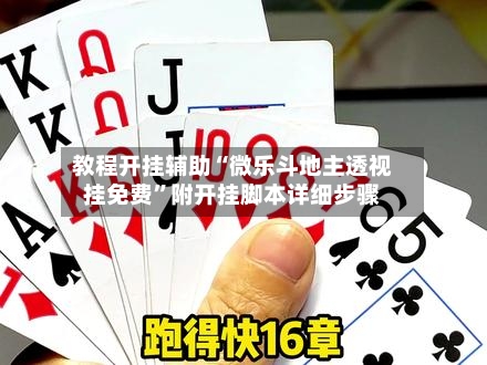 教程开挂辅助“微乐斗地主透视挂免费”附开挂脚本详细步骤-第3张图片