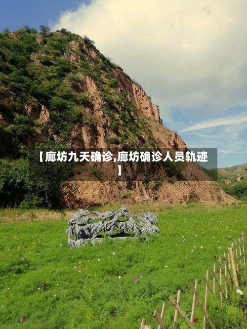 【廊坊九天确诊,廊坊确诊人员轨迹】-第1张图片