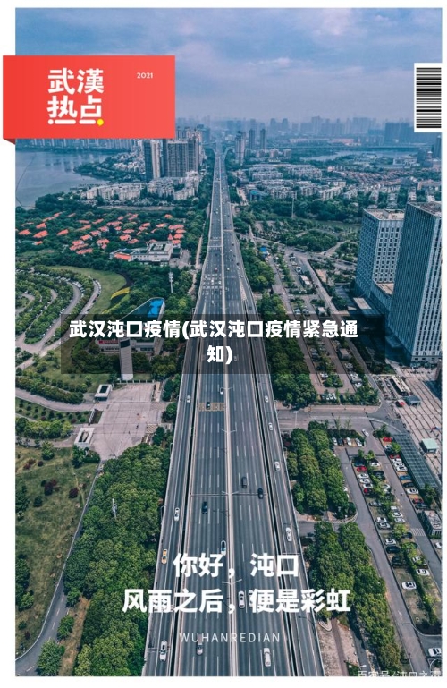 武汉沌口疫情(武汉沌口疫情紧急通知)-第1张图片