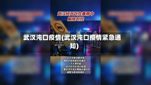 武汉沌口疫情(武汉沌口疫情紧急通知)-第2张图片