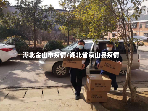 湖北金山市疫情/湖北省京山县疫情-第2张图片