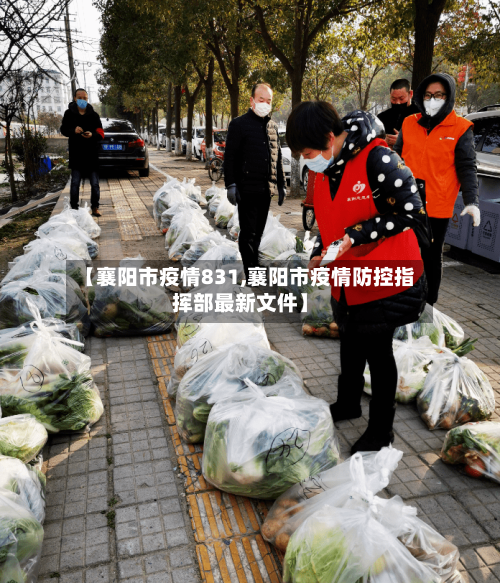 【襄阳市疫情831,襄阳市疫情防控指挥部最新文件】-第1张图片