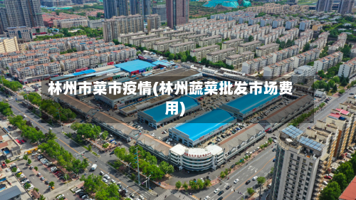 林州市菜市疫情(林州蔬菜批发市场费用)-第2张图片