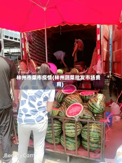 林州市菜市疫情(林州蔬菜批发市场费用)-第1张图片
