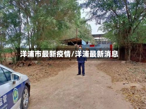 洋浦市最新疫情/洋浦最新消息-第2张图片