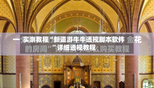 实测教程“新道游牛牛透视脚本软件”详细透视教程-第2张图片
