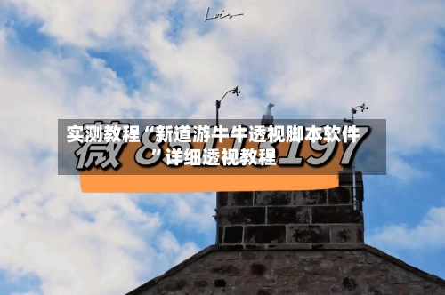 实测教程“新道游牛牛透视脚本软件	”详细透视教程-第1张图片