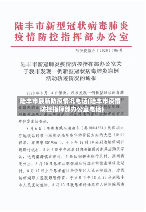陆丰市最新防疫情况电话(陆丰市疫情防控指挥部办公室电话)-第3张图片