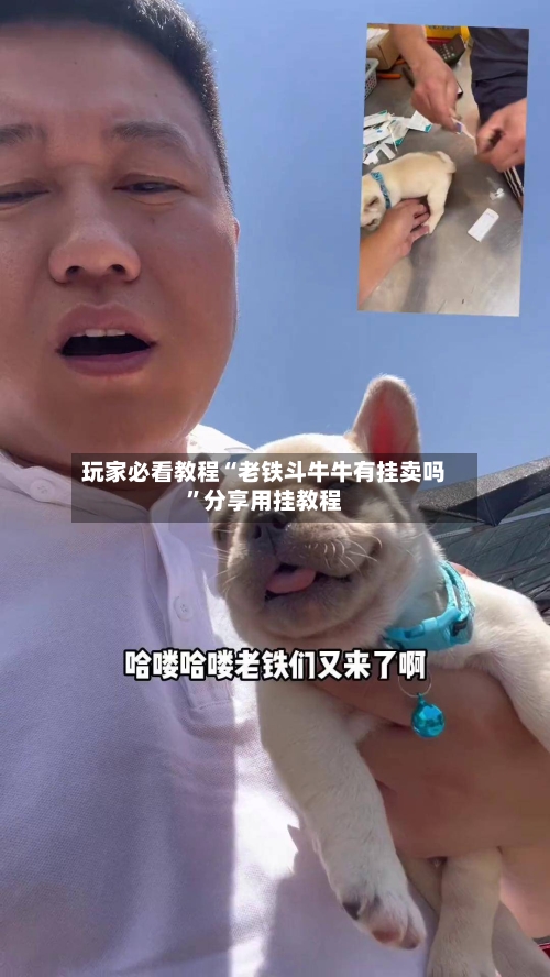 玩家必看教程“老铁斗牛牛有挂卖吗”分享用挂教程-第1张图片
